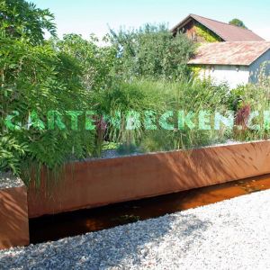 Gartenbecken 025